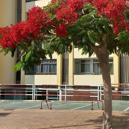 Tropical House Near Beach&Yumbo San Bartolomé Dış mekan fotoğraf