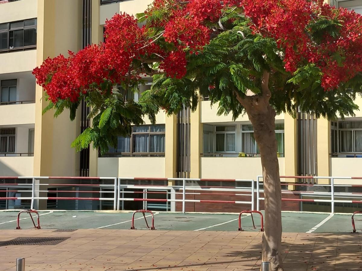 Tropical House Near Beach&Yumbo San Bartolomé Dış mekan fotoğraf